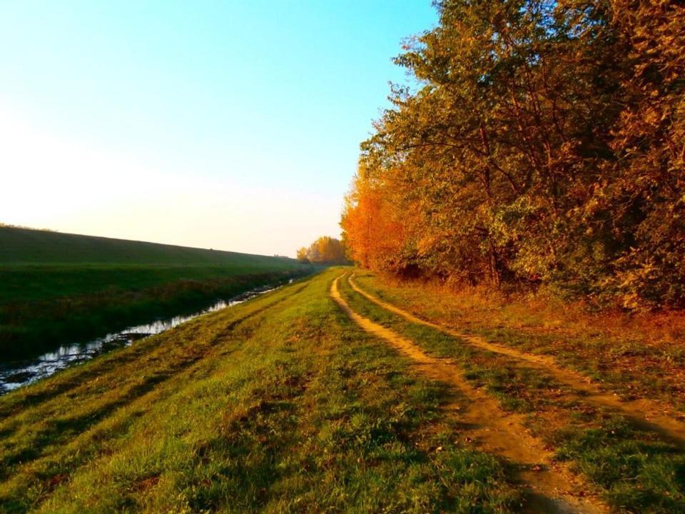 Relax Inn Šoporňa 外观 照片